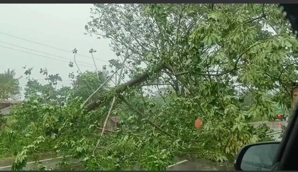 শরতের ঝড়ে পাথারকান্দিতে ক্ষতিগ্রস্থ পুজো মণ্ডপ শরতের ঝড়ে পাথারকান্দিতে ক্ষতিগ্রস্থ পুজো মণ্ডপ