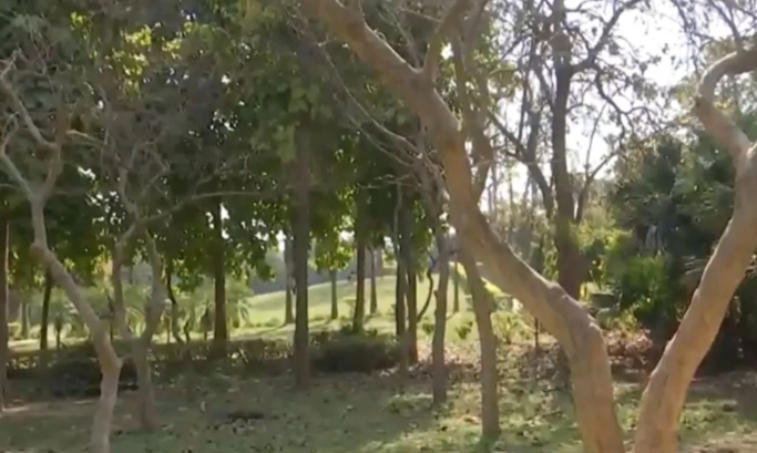 পার্ক থেকে উদ্ধার কিশোর-কিশোরীর ঝুলন্ত দেহ পার্ক থেকে উদ্ধার কিশোর-কিশোরীর ঝুলন্ত দেহ