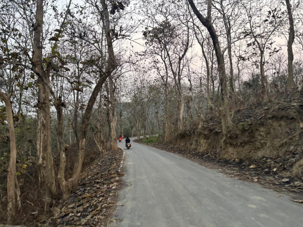 চাপরি পয়েন্টে বাইক নিয়ে গভীর খাদে তিন আরোহী, গুরুতর আহত চাপরি পয়েন্টে বাইক নিয়ে গভীর খাদে তিন আরোহী, গুরুতর আহত