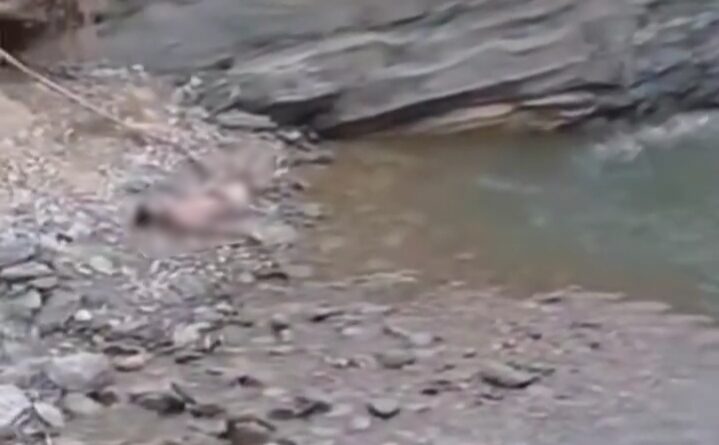 ঘুরতে গিয়ে মধুরায় সলিলসমাধি দুই বন্ধুর