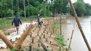 শিলচরের জল নিষ্কাশন ব্যবস্থা ও নদীবাঁধের সংস্কার কেন যথোপযুক্ত হল না, জবাব চাইল বিডিএফ শিলচরের জল নিষ্কাশন ব্যবস্থা ও নদীবাঁধের সংস্কার কেন যথোপযুক্ত হল না, জবাব চাইল বিডিএফ