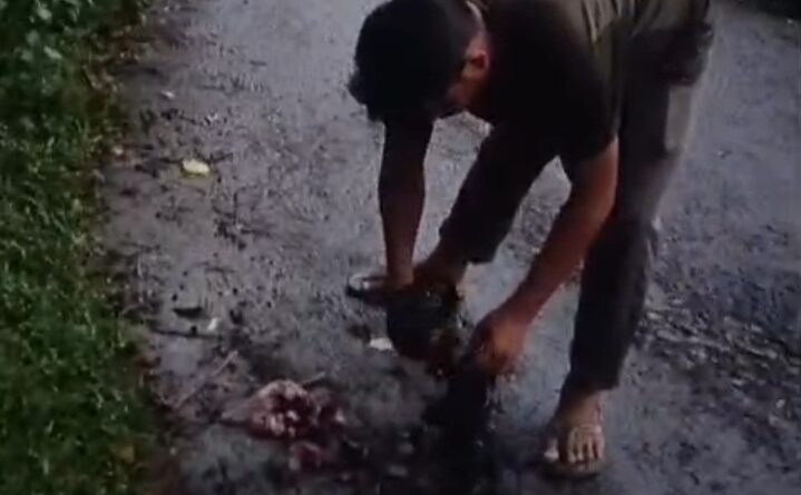 চণ্ডীঘাটে শিব মন্দির এলাকায় গো-মাংস উদ্ধার