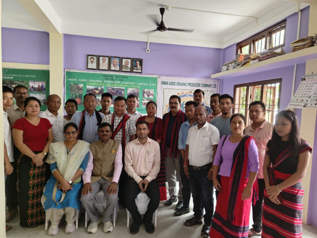 কাছাড়ের আনারস চাষে সম্ভাবনা ও চা-শ্রমিক পুনর্বাসনে জোর কাছাড়ের আনারস চাষে সম্ভাবনা ও চা-শ্রমিক পুনর্বাসনে জোর