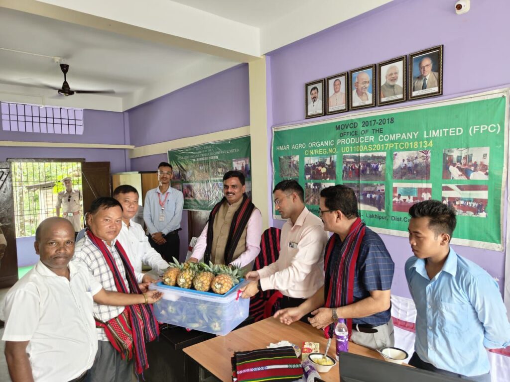 কাছাড়ের আনারস চাষে সম্ভাবনা ও চা-শ্রমিক পুনর্বাসনে জোর কাছাড়ের আনারস চাষে সম্ভাবনা ও চা-শ্রমিক পুনর্বাসনে জোর
