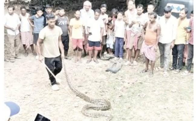 ডলুরবন্দ থেকে উদ্ধারকৃত অজগর বনাঞ্চলে অবমুক্ত করল দোহালিয়া ফরেস্ট বিভাগ ডলুরবন্দ থেকে উদ্ধারকৃত অজগর বনাঞ্চলে অবমুক্ত করল দোহালিয়া ফরেস্ট বিভাগ