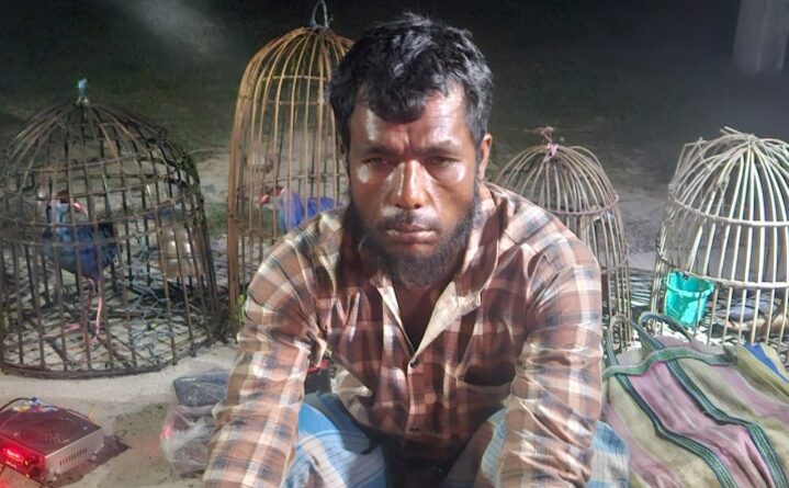 লাহরিঘাটে পাখি শিকারি গ্রেফতার, উদ্ধার পরিযায়ী পাখি লাহরিঘাটে পাখি শিকারি গ্রেফতার, উদ্ধার পরিযায়ী পাখি