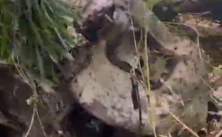 মিজোরামের সেরছিপে খাদে অয়েল ট্যাঙ্কার, গুরুতর আহত কাবুগঞ্জের চালক ও সহচালক মিজোরামের সেরছিপে খাদে অয়েল ট্যাঙ্কার, গুরুতর আহত কাবুগঞ্জের চালক ও সহচালক